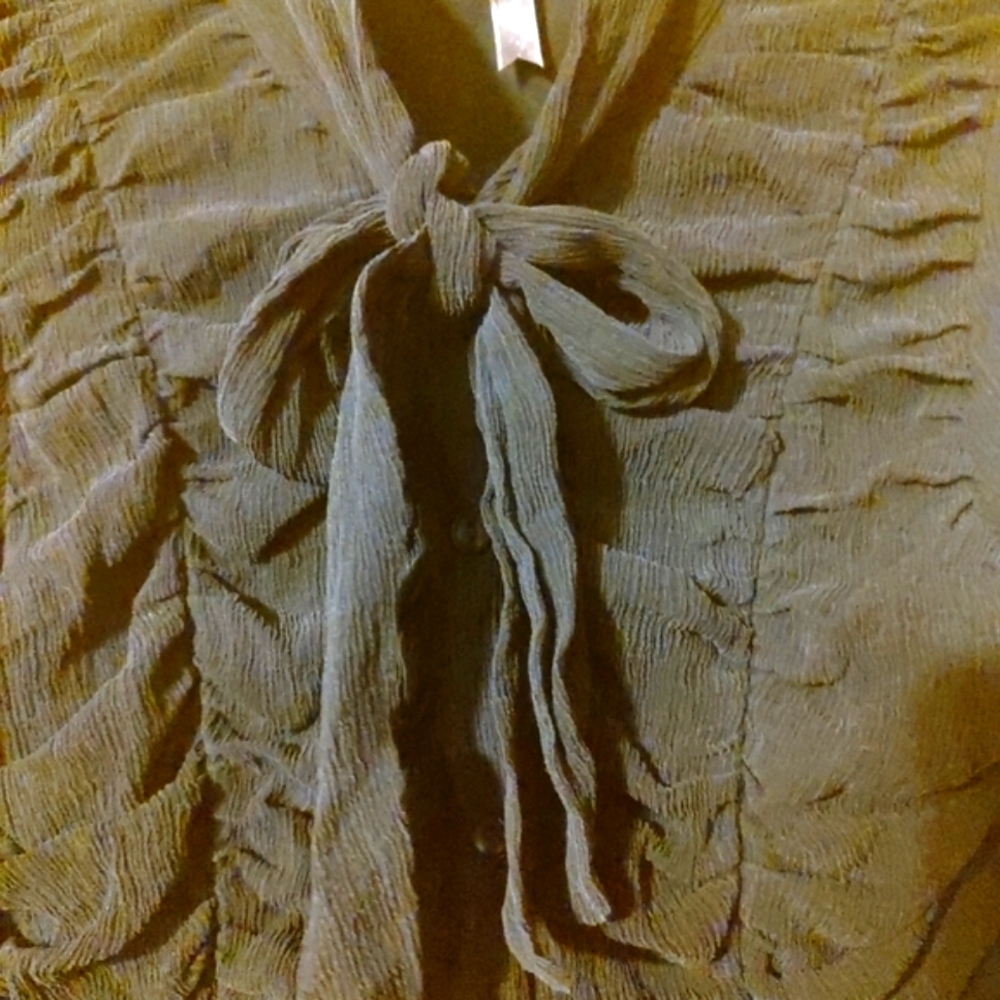 🐦⬛🖤🐦⬛ Divine Vintage Genuine Silk Black Sheer Ruffled Bow Blouse Top - 12 - Picture 8 of 16
